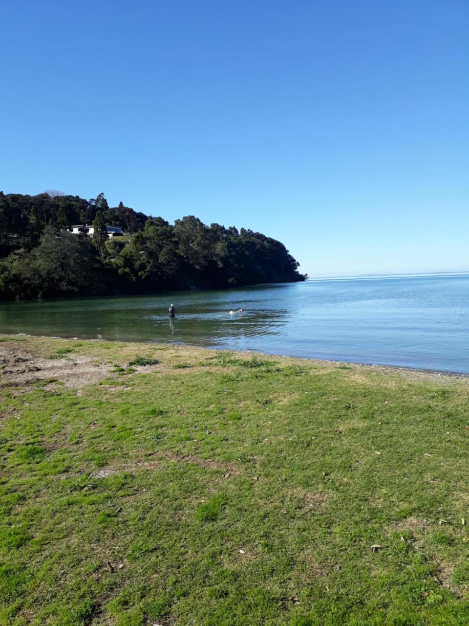 Tastebuds Bed N Breakfast Auckland Luaran gambar