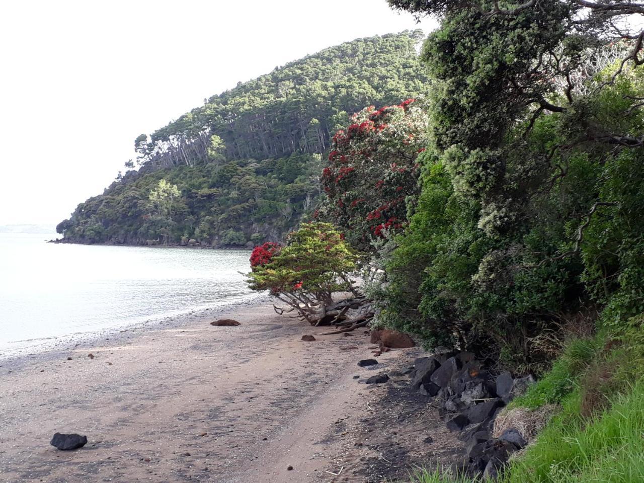Tastebuds Bed N Breakfast Auckland Luaran gambar